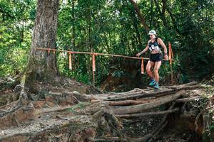 BIB: 
                            <button type="button" onclick="openModal(27801981)" class="btn btn-primary btn-sm float-right btn-popup" data-toggle="modal" data-target=".modal-high-quality">
                        <i class="fas fa-shopping-cart"></i> Add to Cart
                    </button>
                                            <button type="button" onclick="isThisMe(27801981, true)" class="btn btn-success btn-sm float-right btn-popup btn-isme hidden" data-toggle="tooltip" data-placement="bottom" title="นี่คือรูปของคุณใช่ไหม คลิกที่นี่เพื่อเอาเข้าอัลบั้ม">
                        <i class="fas fa-plus"></i> Add to album
                    </button>
                    <button type="button" onclick="isThisMe(27801981, false)" class="btn btn-warning btn-sm float-right btn-popup btn-isnotme hidden">
                        <i class="fas fa-ban"></i> Remove from album
                    </button>